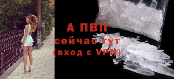 дживик Лабытнанги