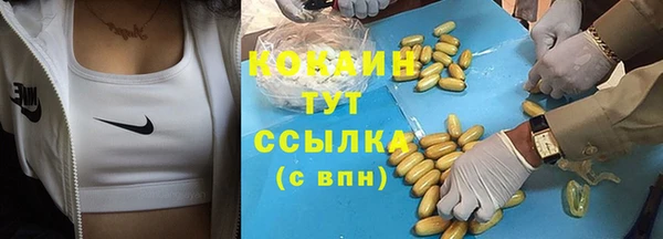 дживик Лабытнанги