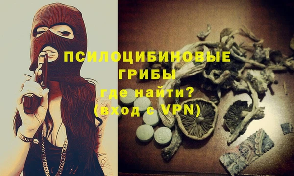 винт Ладушкин