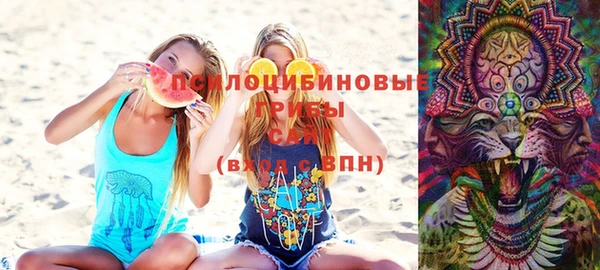 винт Ладушкин