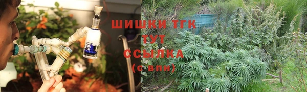 винт Ладушкин