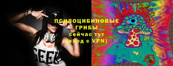 винт Ладушкин