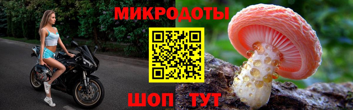 закладка  Кунгур  Псилоцибиновые грибы прущие грибы 