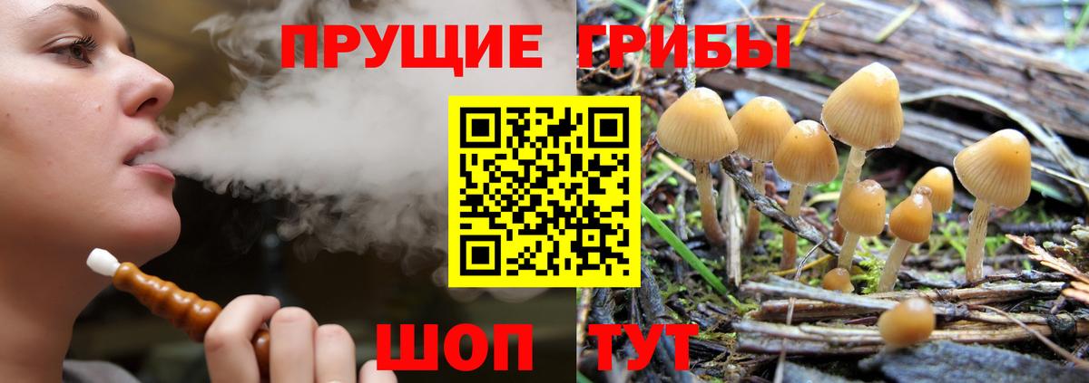 Псилоцибиновые грибы мицелий Кунгур